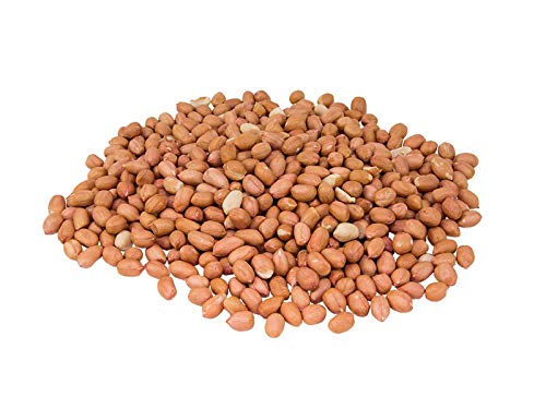 Aiva Raw Spanish Peanuts – 10 lb Case (Unsalted)