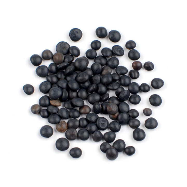 Aiva Black Beluga Lentils | 4 lb