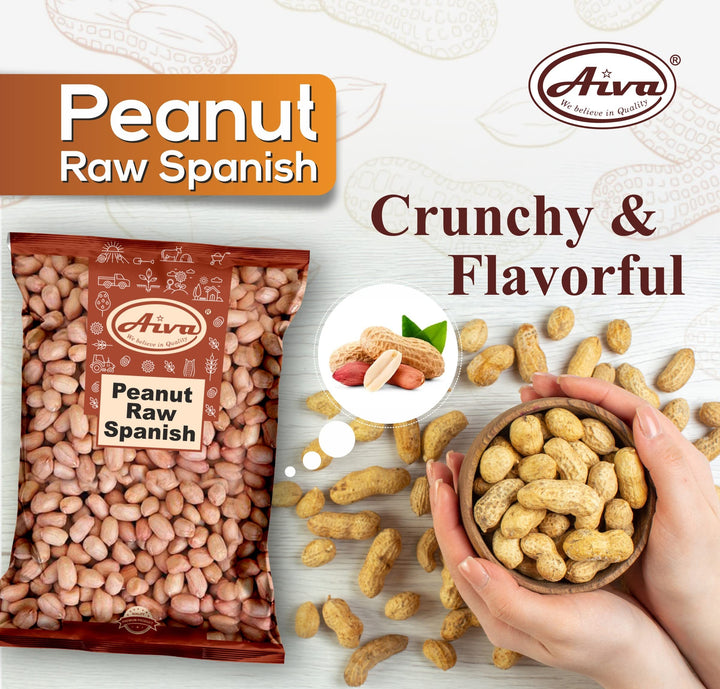 Aiva Raw Pistachios | 10 lb