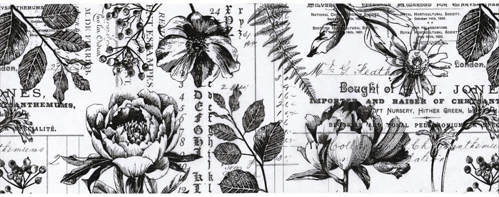 Tim Holtz Idea-Ology Collage Paper Rolls - Entomology, Botanical and Typeset - Bundle of Three Rolls