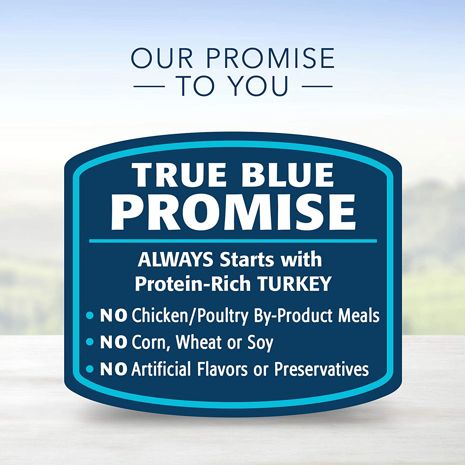 Blue Buffalo Healthy Gourmet Natural Adult Pate Wet Cat Food - Turkey & Chicken Pate Entrée