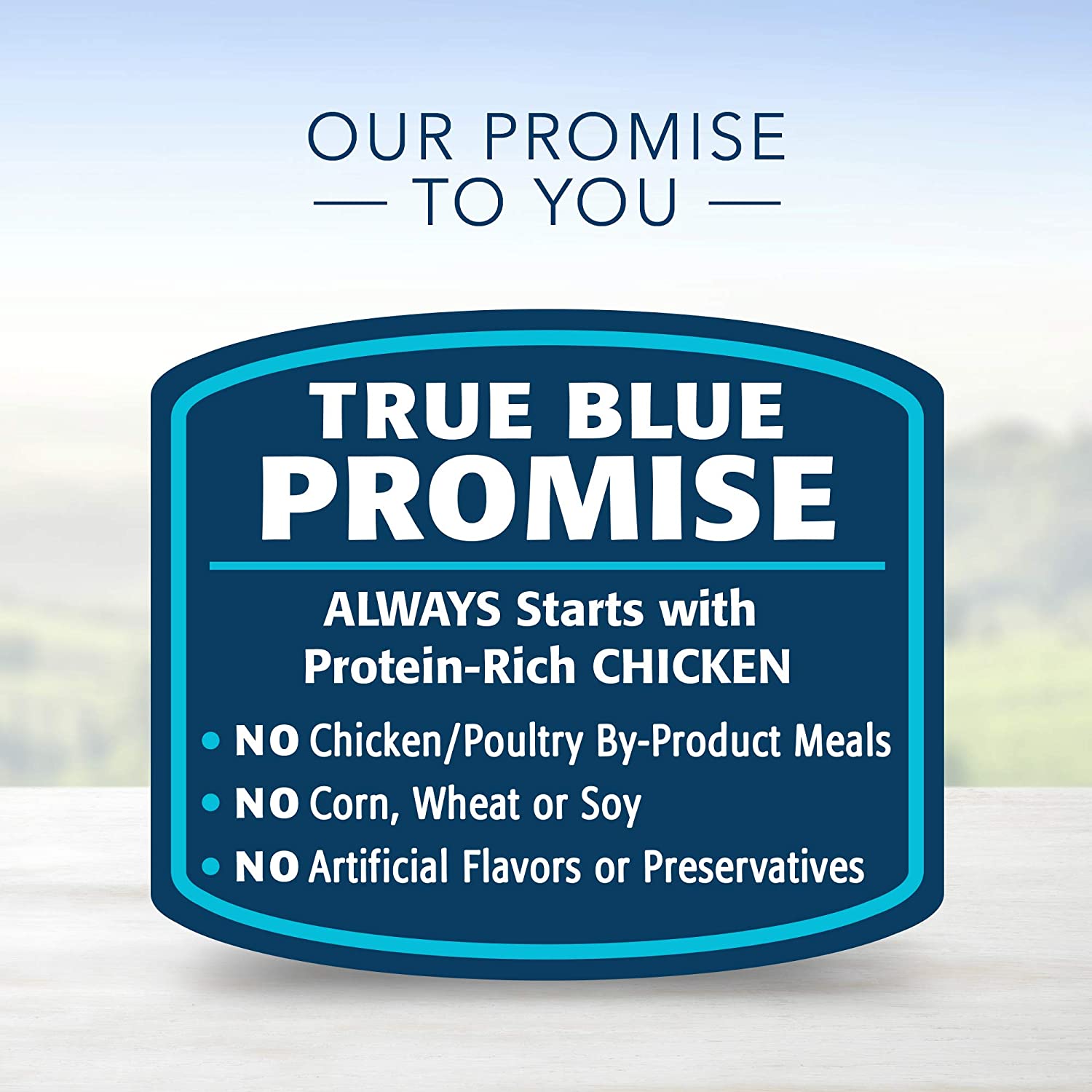 Blue healthy gourmet clearance pate