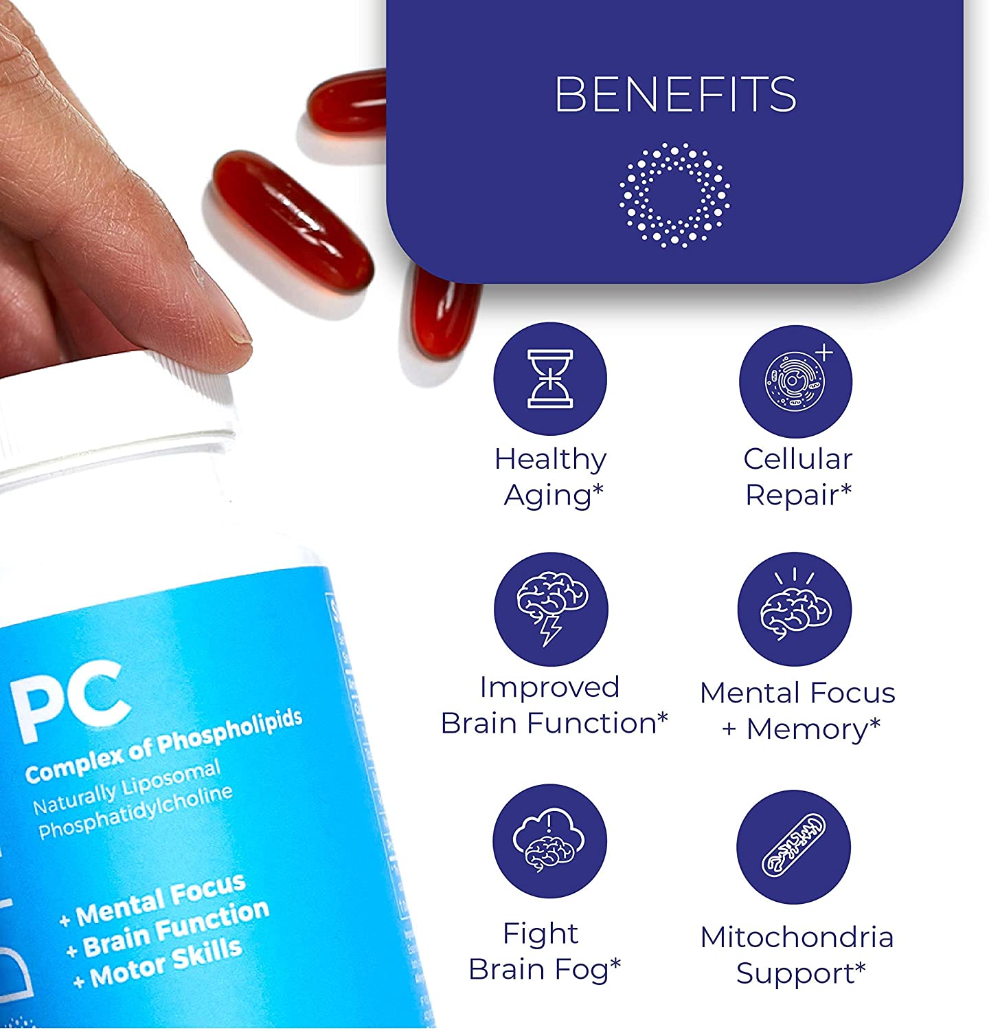 Brain Supplement 300 Softgels - Pure Phospholipid Complex for Healthy Aging | Nootropics Booster | Enhance Focus, Brain Function, Cellular Repair | BodyBio Phosphatidylcholine for Increased Bioavailability